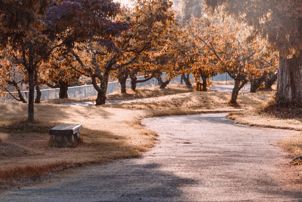 Yoyogi Park