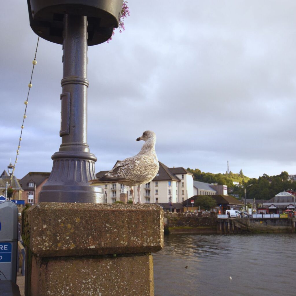 Oban Scotland