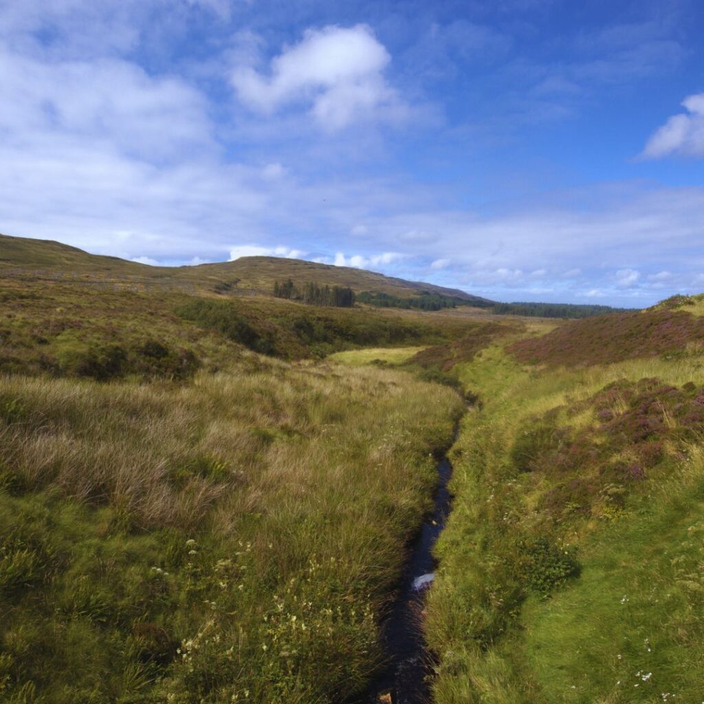 The Fairy Bridge