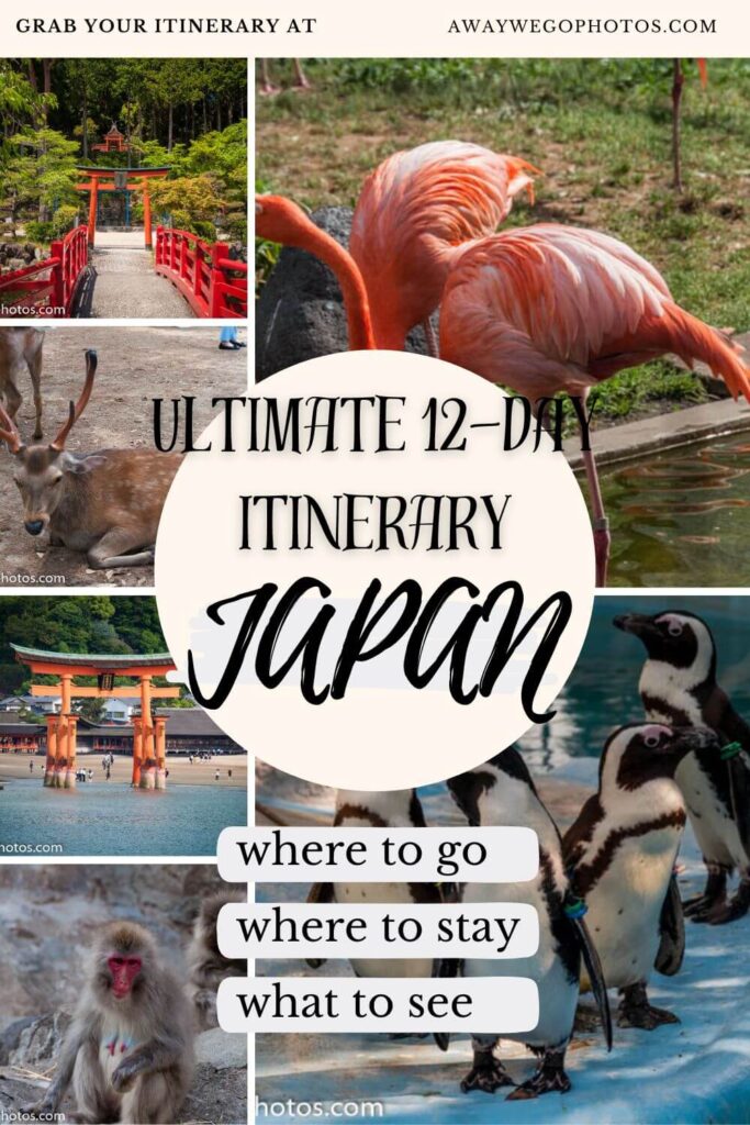 Japan Itinerary