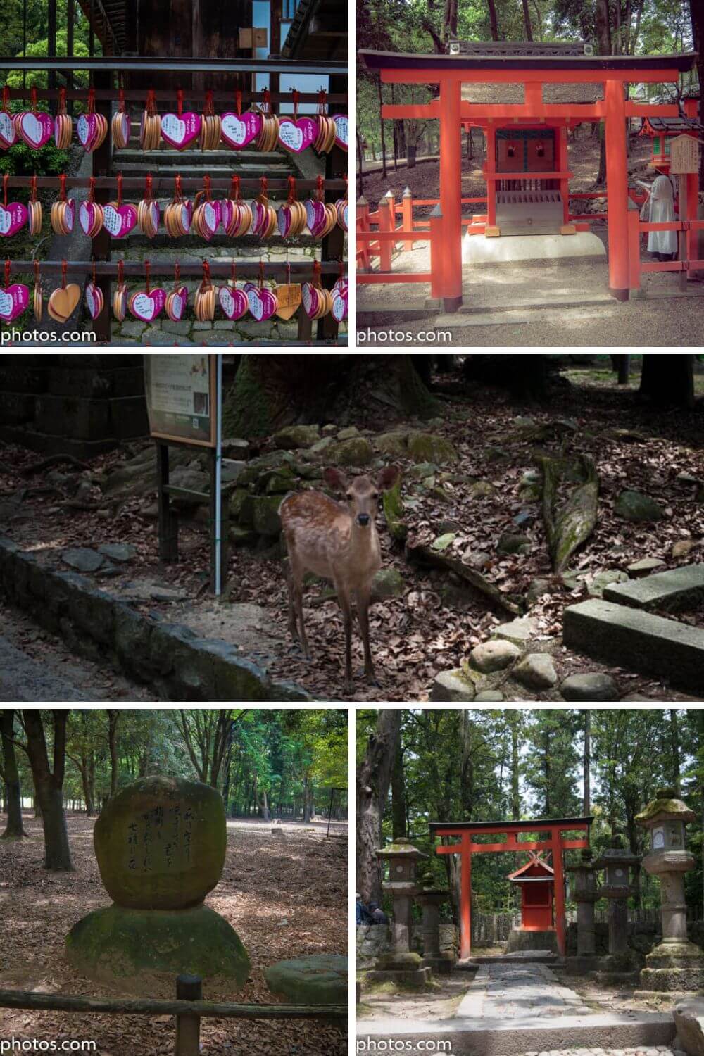 Nara Japan