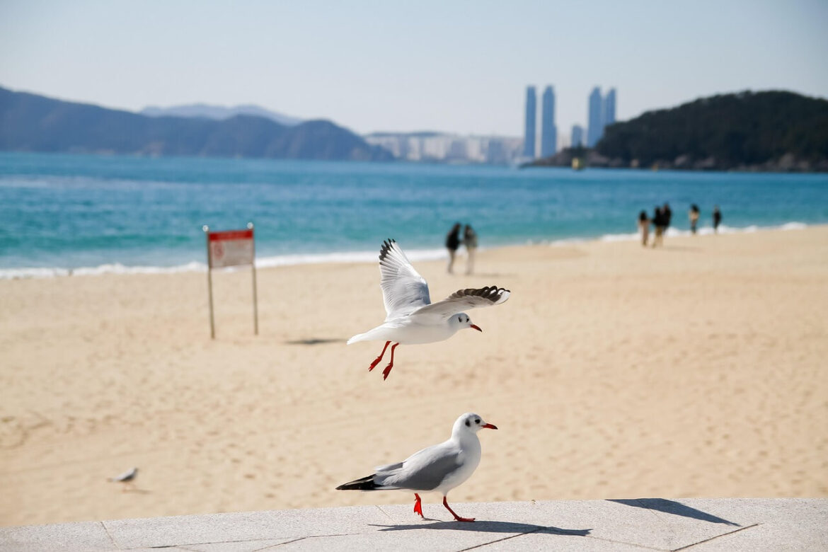 Haeundae Beach