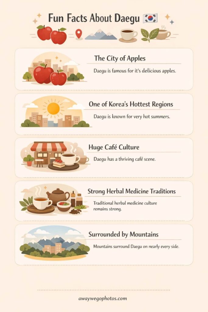 Fun Facts About Daegu