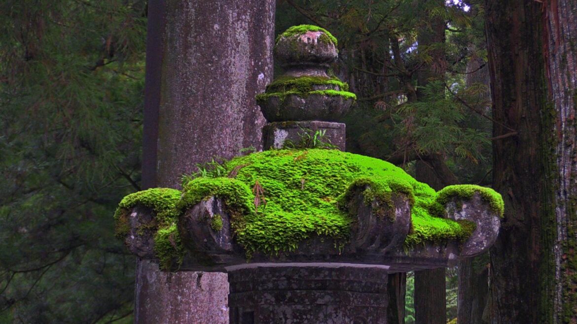 Best Day Trips from Tokyo